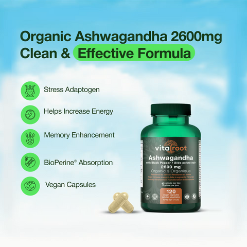 Ashwagandha 2600mg